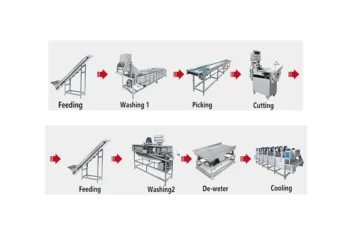 Leafy Root Vegetable Washing Machine - Image 2