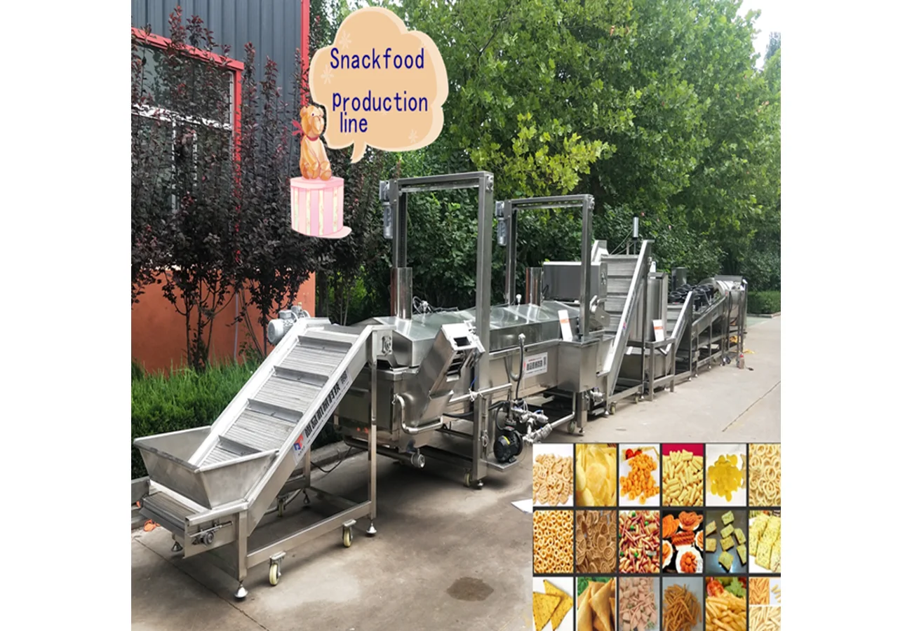 Continuous Belt Fryer Continuous Belt Fryer - Image 1